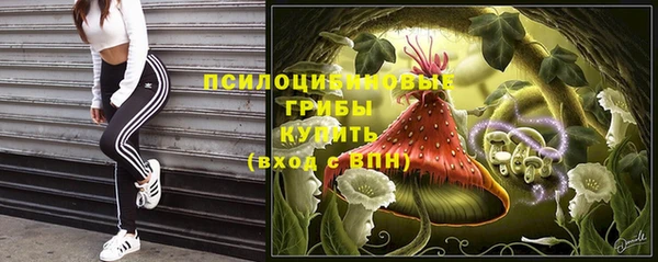 молекула духа Михайловка