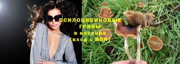 мдма Михайлов