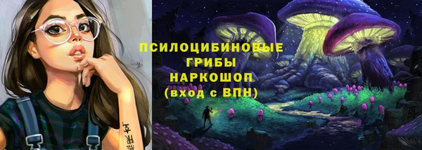 молекула духа Михайловка